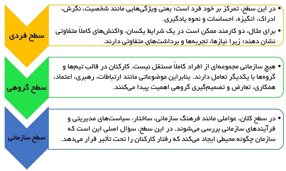 رفتار سازمانی چه عواملی را بررسی میکند؟